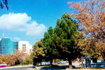 فراخوان پیمانکاران برای جذب خدمات دهی برای امور رفاهی دانشگاه شهید مدنی آذربایجان