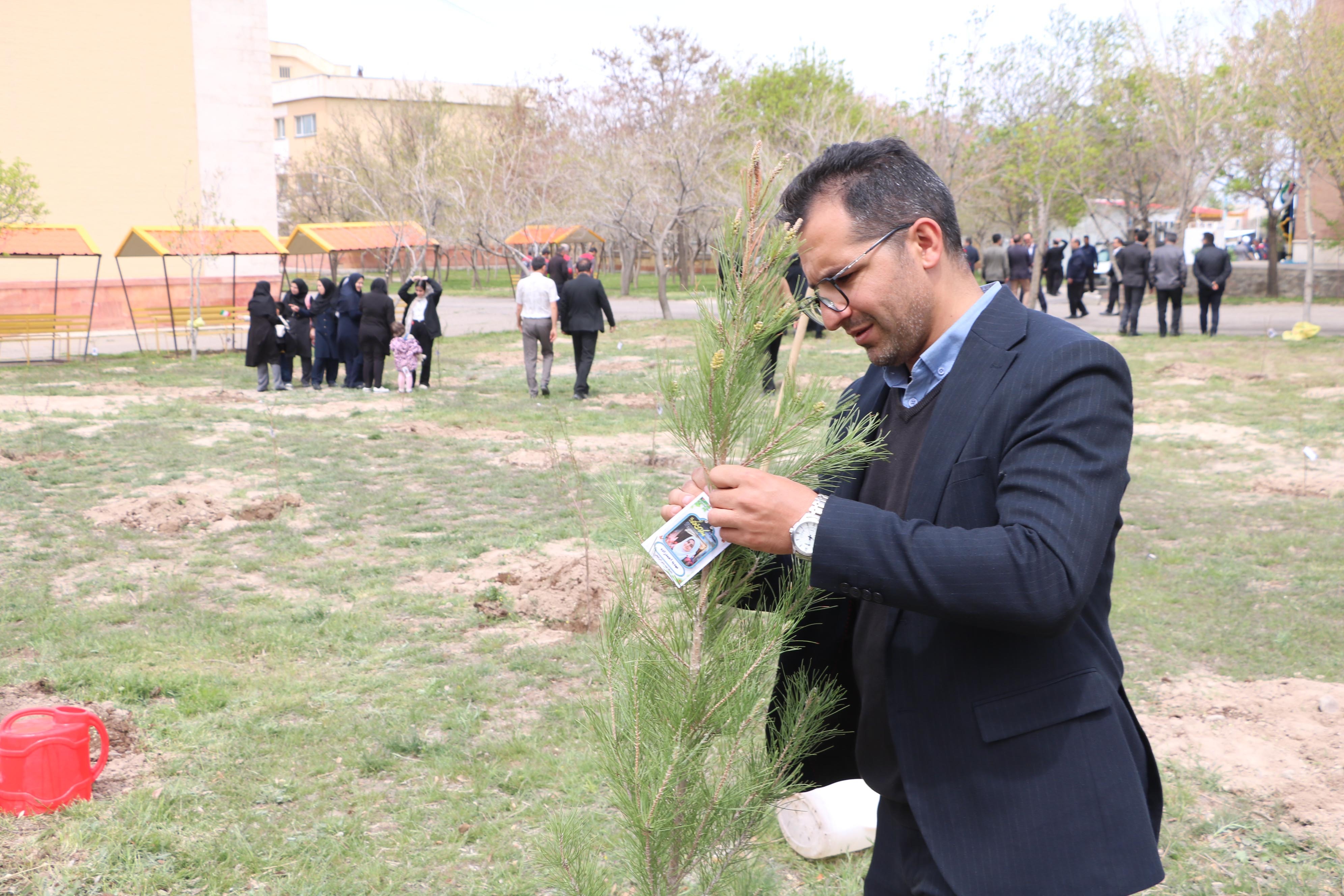 گالری مراسم
